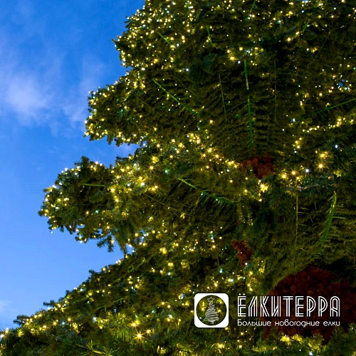 Таежная световая искусственная уличная елка, 11 м